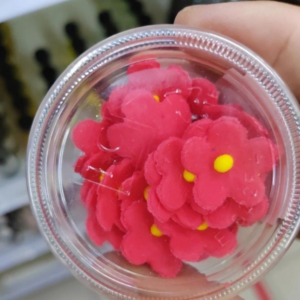 Sugar Paste Flower Red