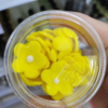 Sugar Paste Flower Yellow